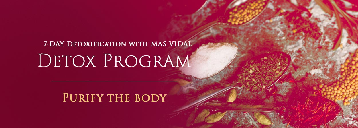 Ayurvedic herbs in spoons