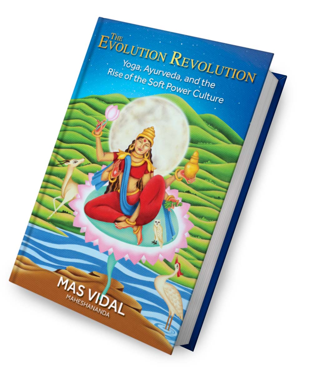 The Evolution Revolution Book Cover