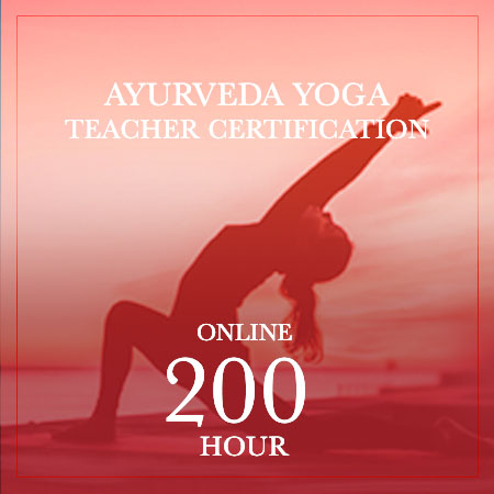 Dancing Shiva Ayurveda & Yoga Yoga Pose Beach online 200 hour