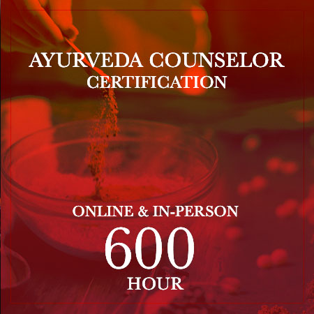 Dancing Shiva Vedic Counselor Certification online & in-person 600 hour