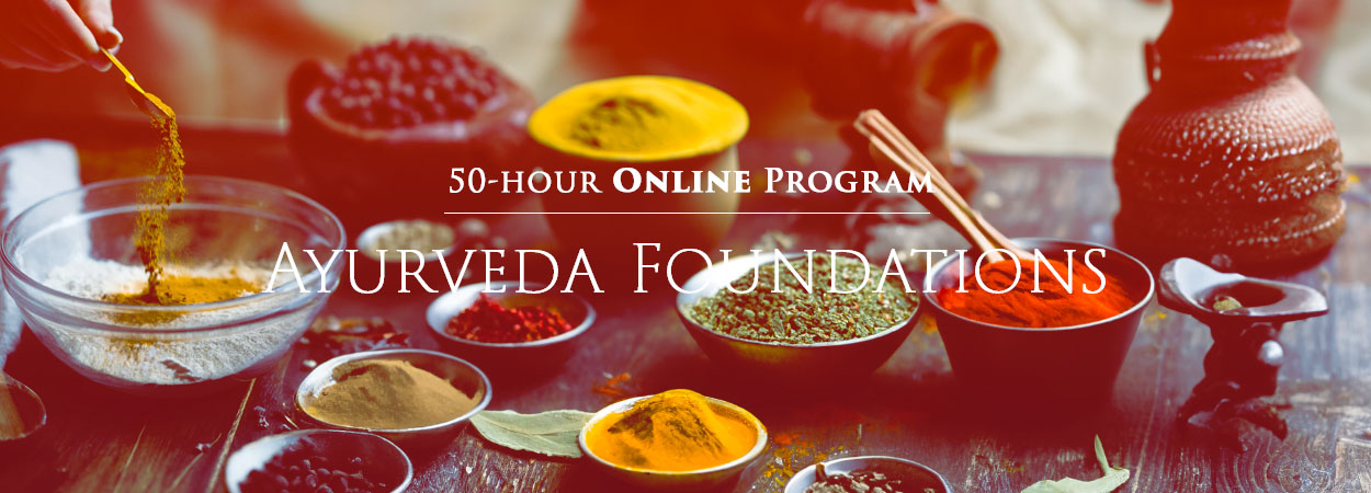 ayurveda herbs and spices in teaspoons