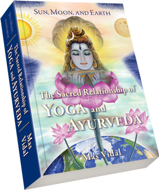 Sun, Moon, & Earth Book