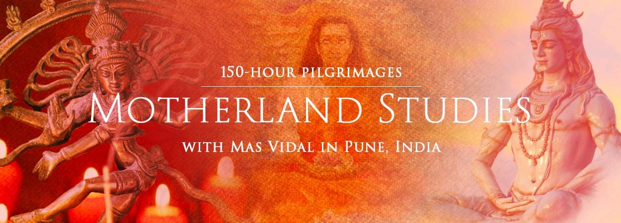 Shiva Nataraj Shiva meditating and Babji painting