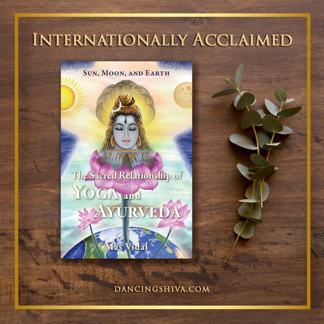 Internationally Acclaimed Sun Moon Earth Book