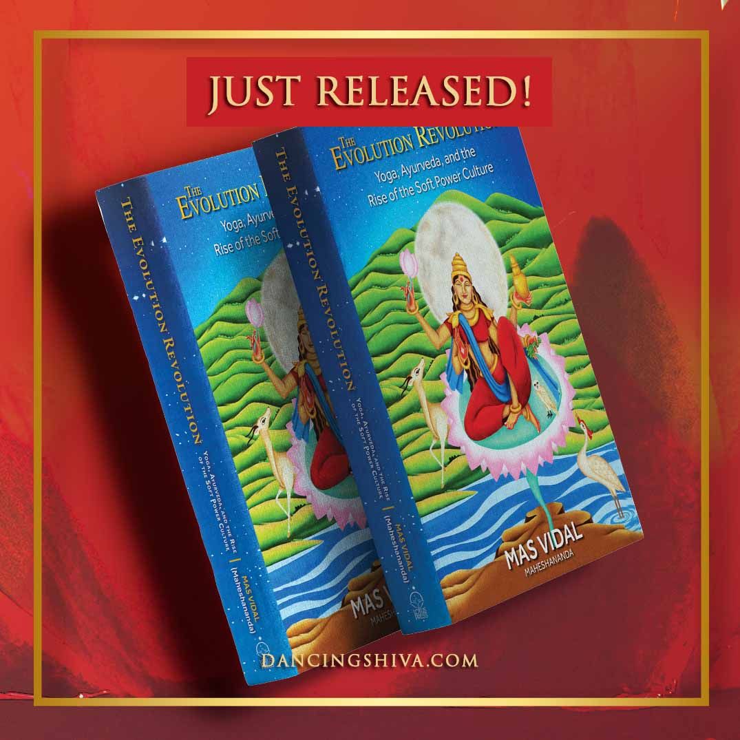 The Evolution Revolution Book by Mas Vidal